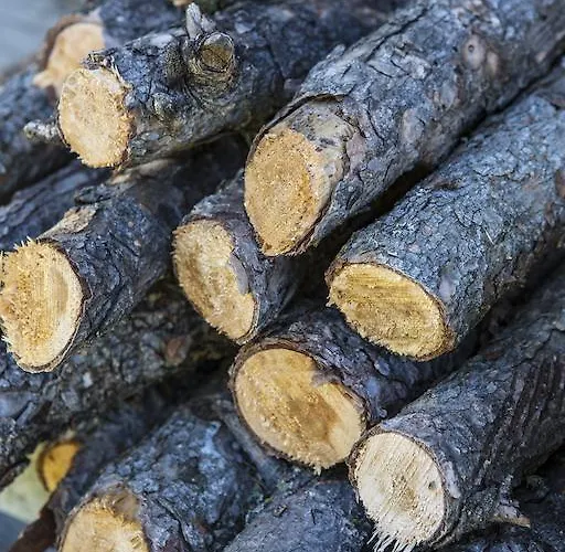 Apartmán Benita Nauders